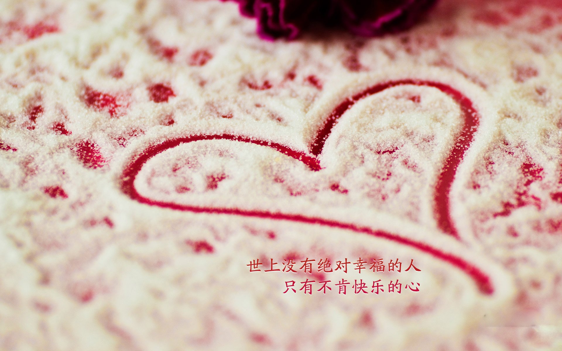 全国自行车节能骑游，绿色环保新潮流，骑自行车节能减排