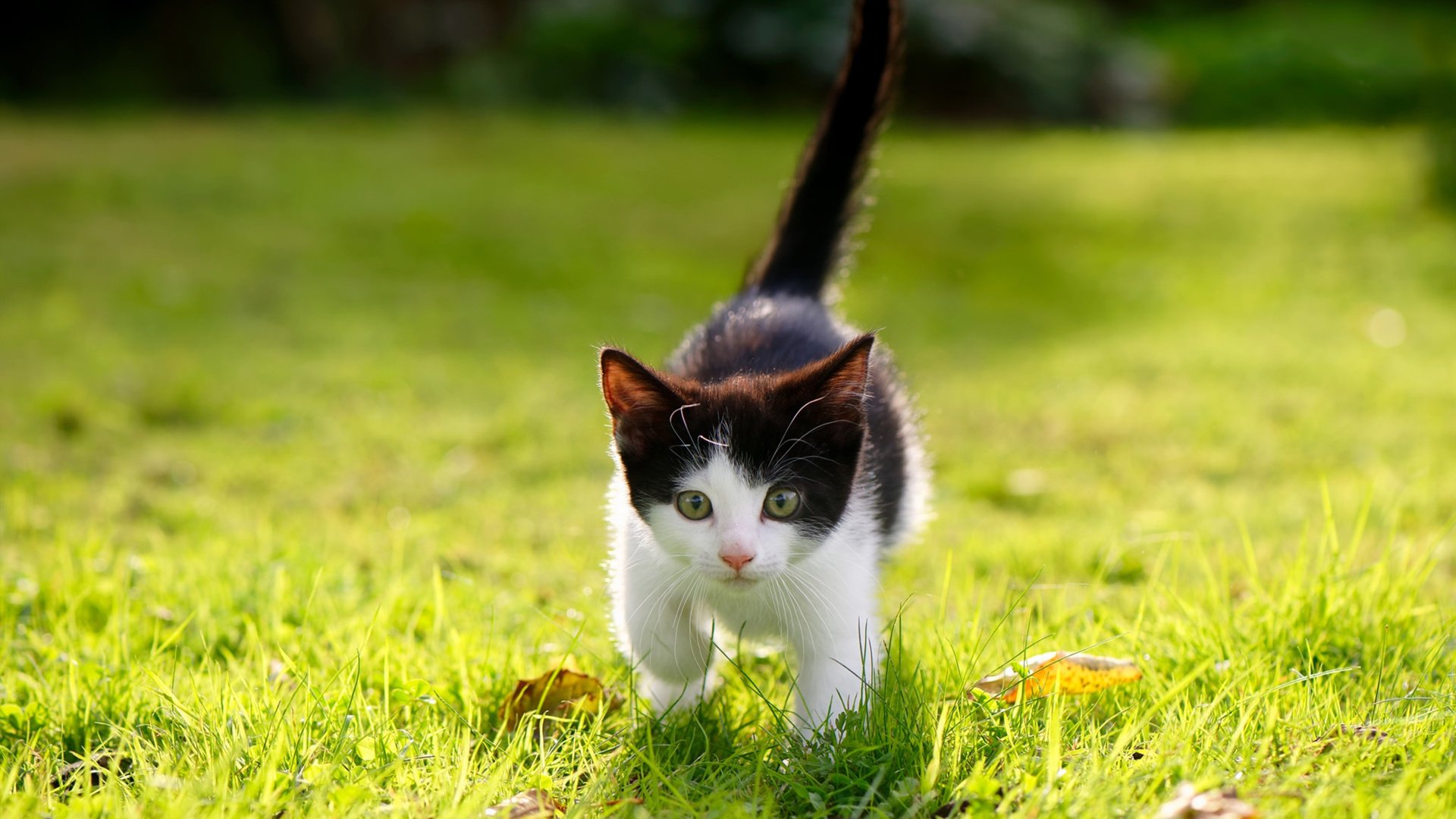 AYX官网-青少年“梦想未来”篮坛文化节在南京引爆，弘扬体育精神，南京青少年篮球