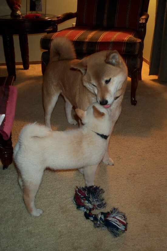 爱游戏娱乐-马刺挖掘潜力新星，未来可期，马刺潜力球员