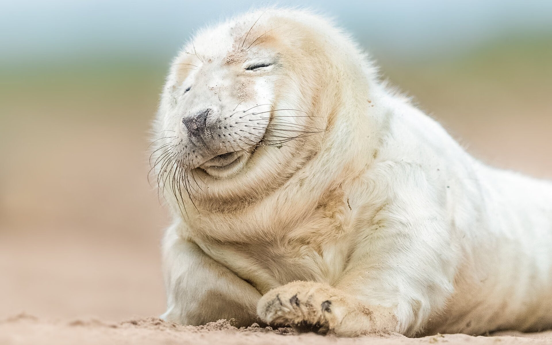 Gen.G战队粉丝互动持续升温，gen.g战队是几号种子