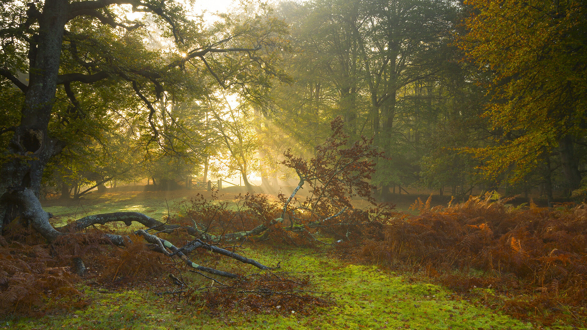 体育赛事精彩不断,足球风采炫目夺目,体育足球竞赛