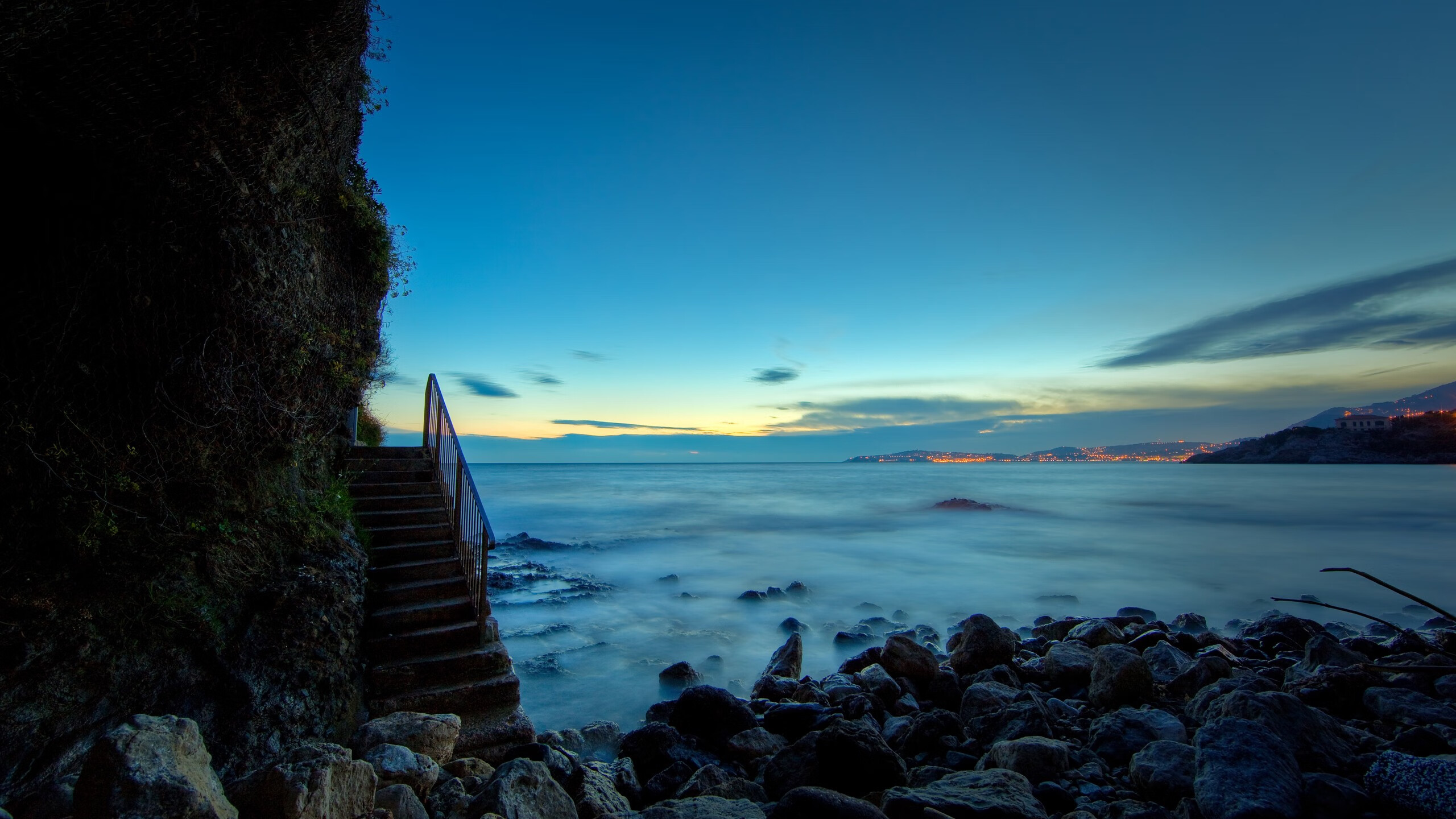 哥伦比亚马术协会开展马匹福利宣传活动，提升公众意识。，哥伦比亚 河马