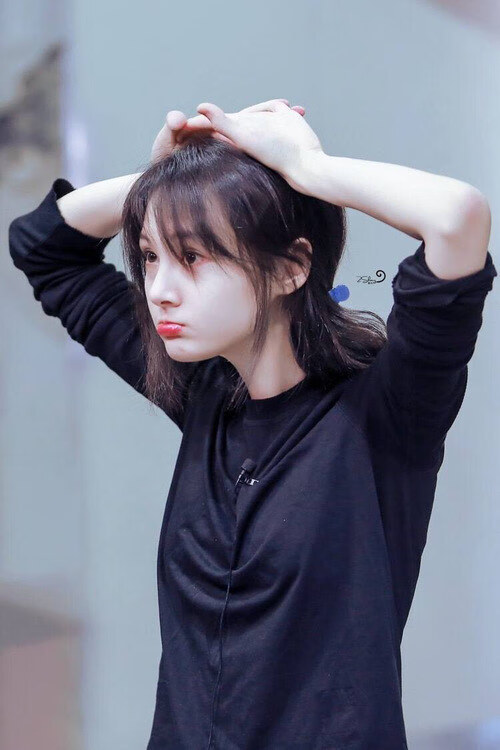 哥伦比亚马术协会开展马匹福利宣传活动，提升公众意识。，哥伦比亚 河马