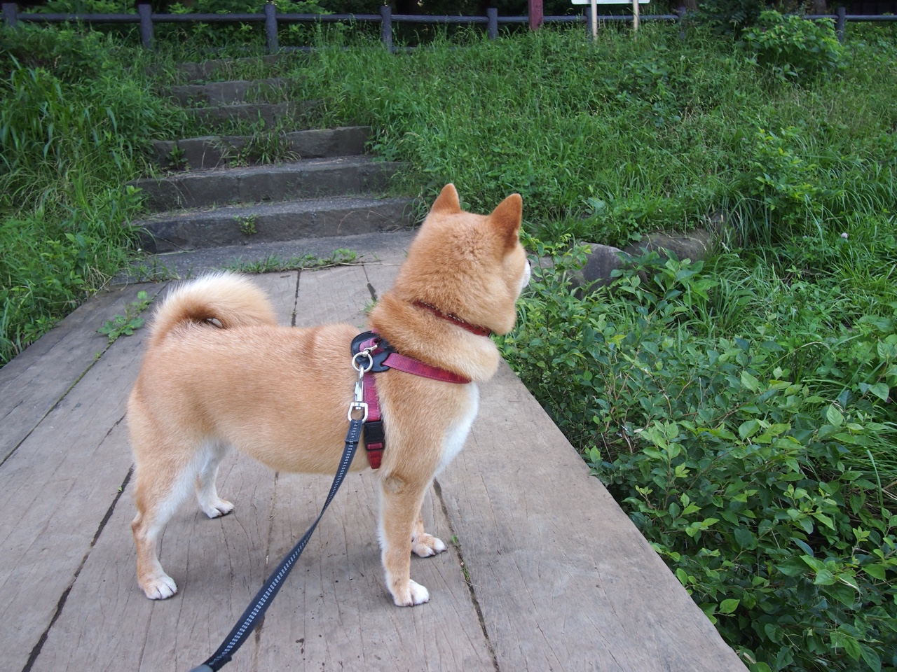 爱游戏体育平台-国足训练模式是否科学，国足训练时间