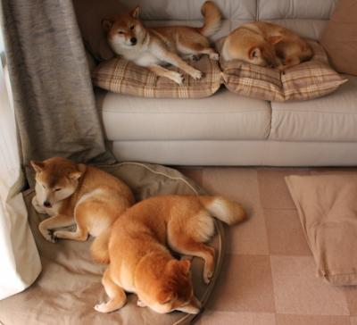 巴斯克球队大胜,积分榜逐渐攀升,巴斯克球员推荐