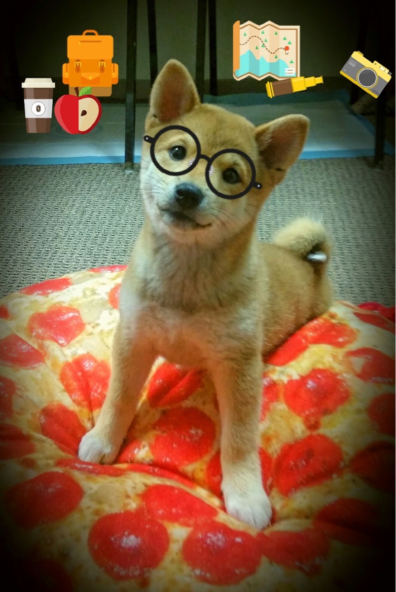 爱游戏官方-巴萨客场2-1战胜奥萨苏纳，艰难取胜，巴萨客场2-1战胜奥萨苏纳,艰难取胜的球员