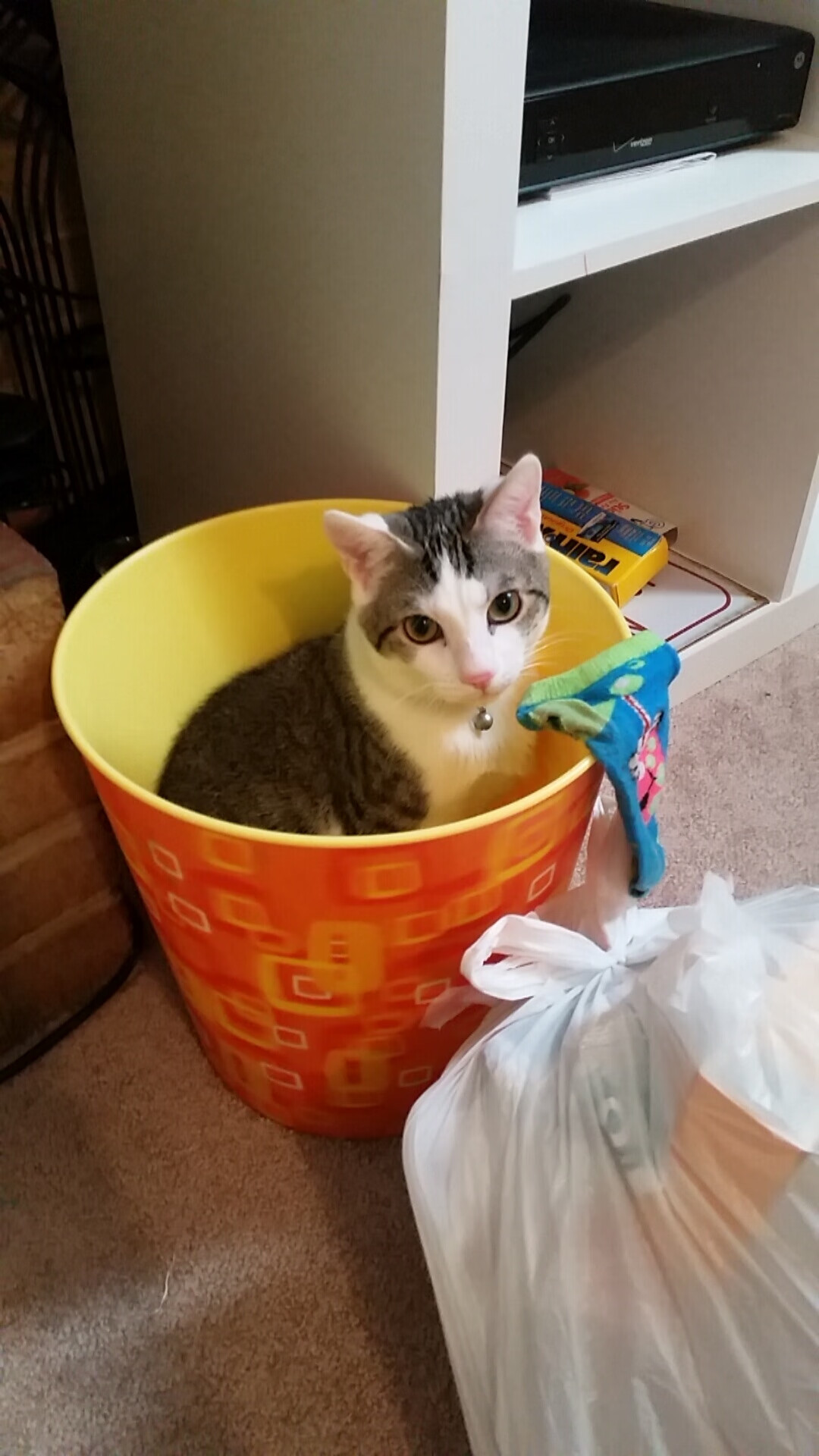 德国女足队长发表感言，誓言要夺冠！，德国 女足