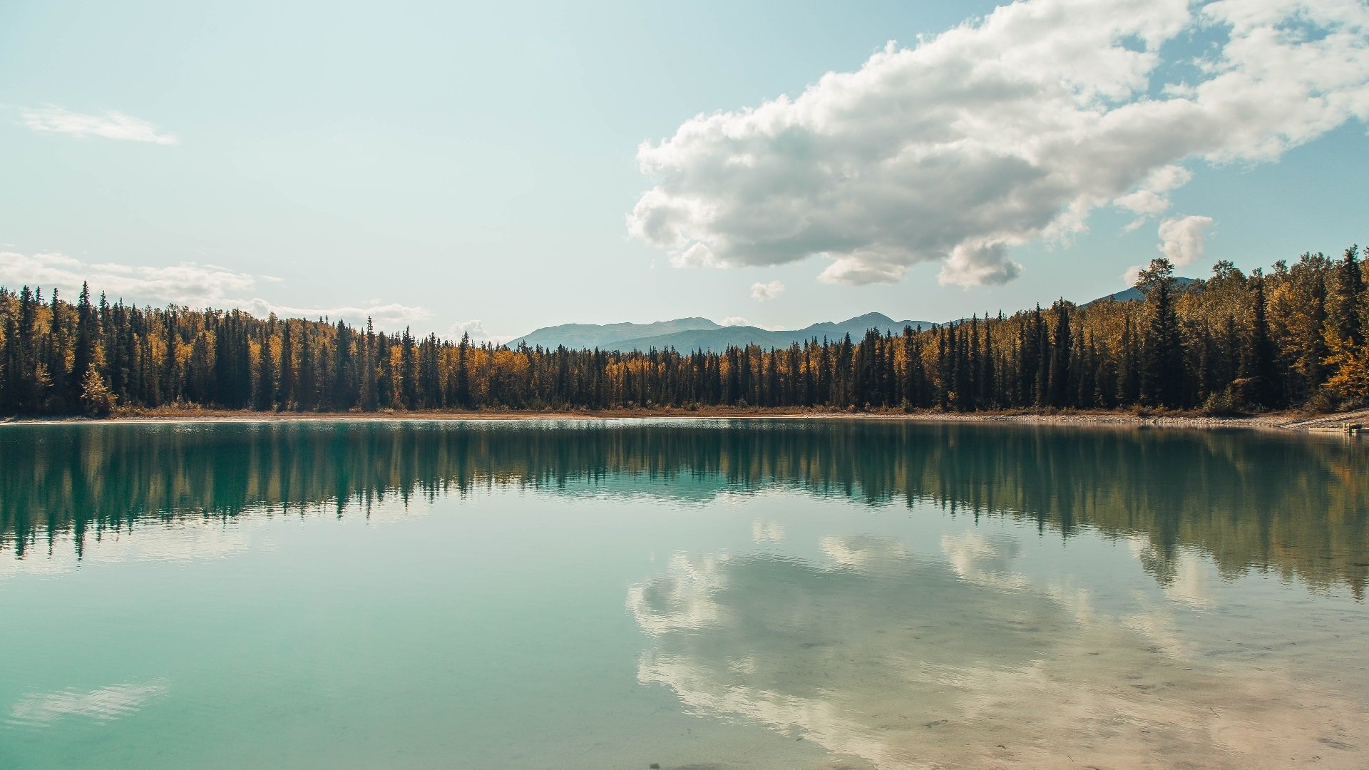 昂热队主场作战,期待球迷的支持,昂热全名