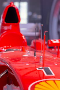 AYX体育官网-全国青少年旱地冰球锦标赛在哈尔滨精彩展开，旱地冰球比赛时间