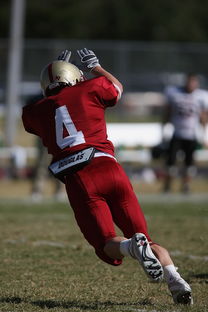 AYX官网-德甲球队休赛期集训方式对开局表现影响，德甲青训规则