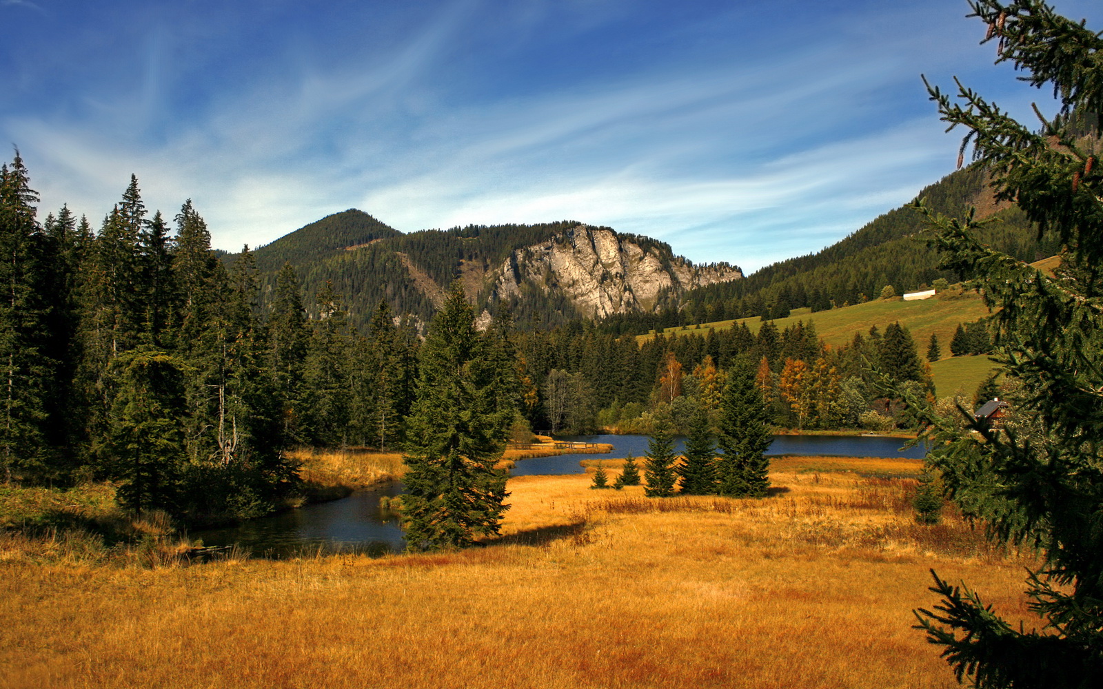运动装备技术应用推广计划,运动装备论文