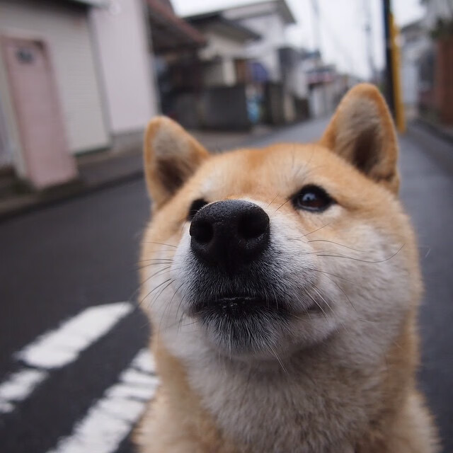 高校校园体育赛事组织与学生参与机制研究，高校校园体育赛事组织与学生参与机制研究论文