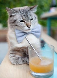 爱游戏平台-“电动冲浪：马鞍山赛场让水上运动进入全新时代”