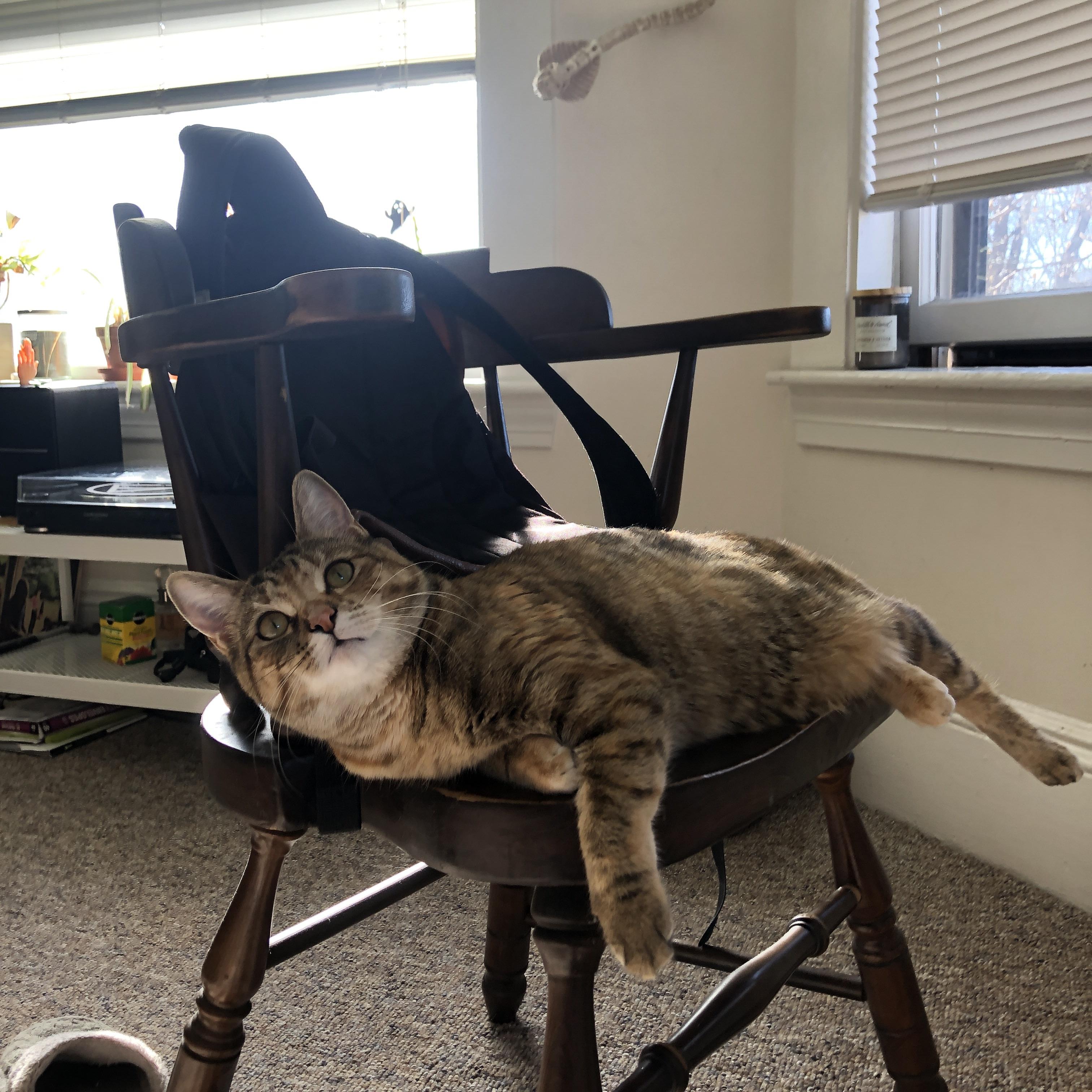 AYX官网-中国女篮新秀崛起 赛场发挥抢眼，中国女篮新赛事