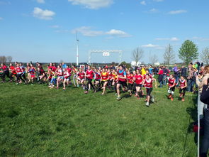 爱游戏官方-体育新闻中心参与制定青少年体育内容发布规范，青少年体育刊物