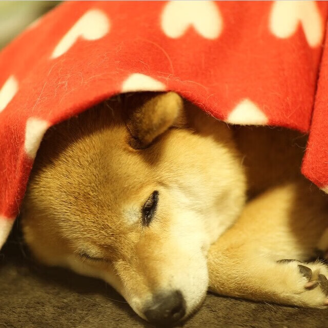 出发反应速度影响比赛结果分析，反应速度发展的最佳时期为