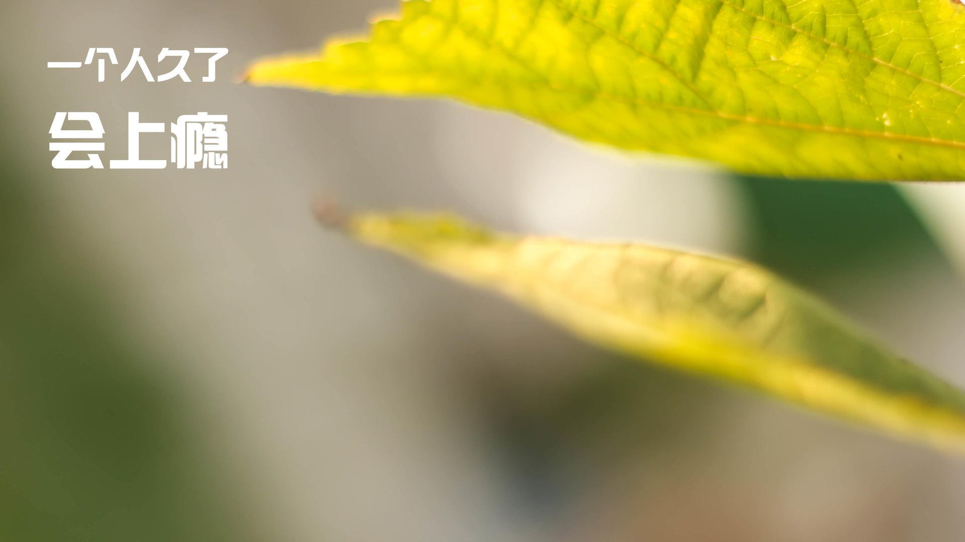 埃及乒乓队未来发展：打造更具竞争力的赛事体系，埃及乒乓球团体